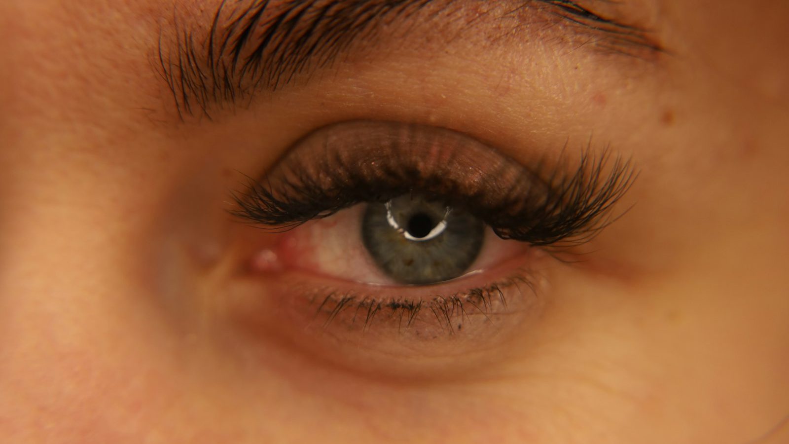 Lash extensions: close up of an eye with full eyelash extensions