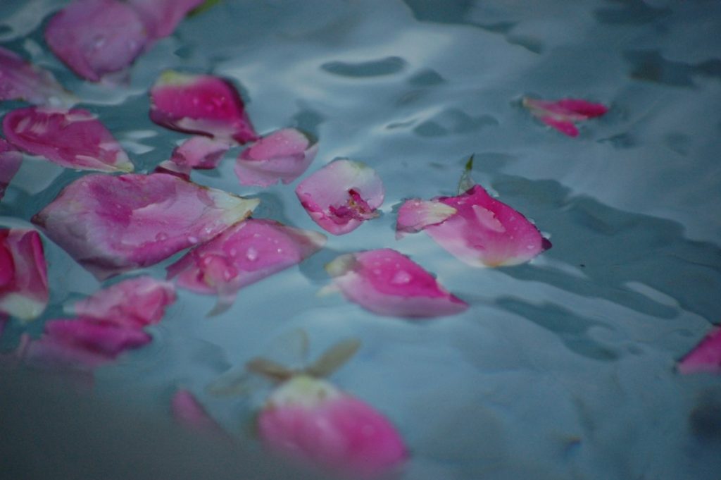 Moroccan baths: pink rose petals floating on water
