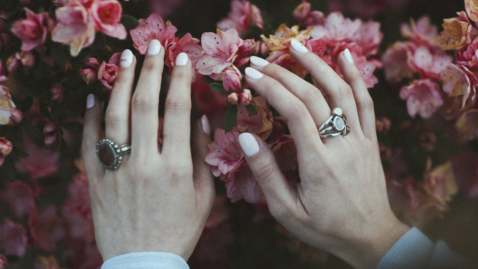 Nail design: white manicured nails with pink blossoms