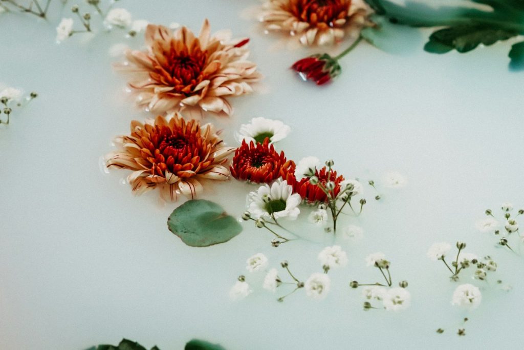 Moroccan bath: flowers floating in a milky spa bath